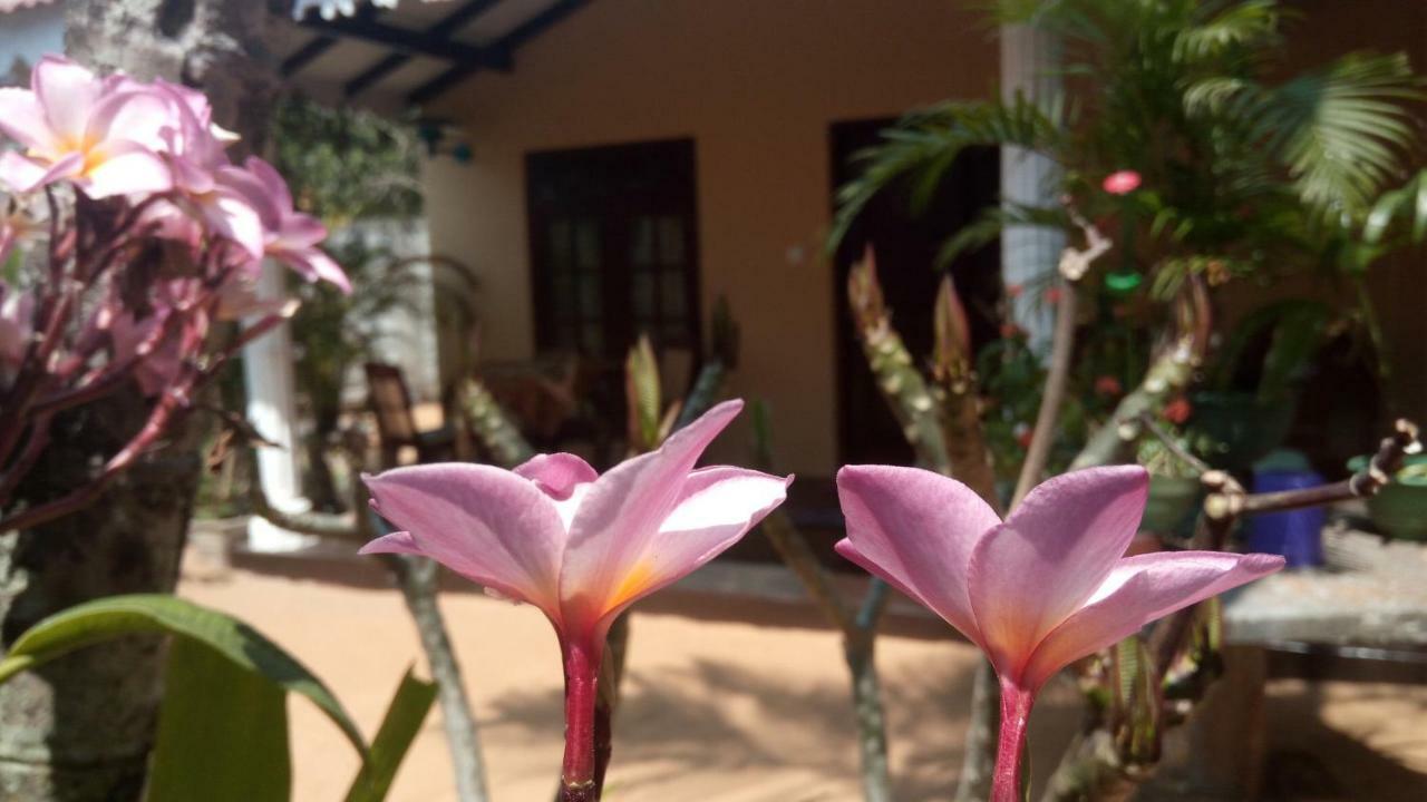 Sampathaa Residence Negombo Room photo